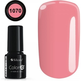 Color IT Premium 1070