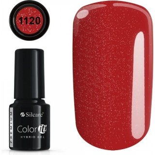 Color IT Premium 1120