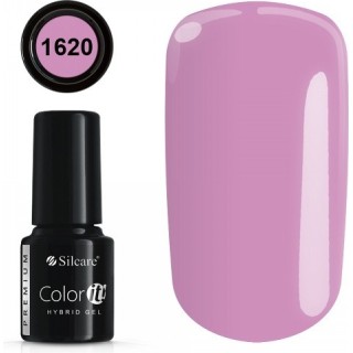 COLOR IT PREMIUM 1620
