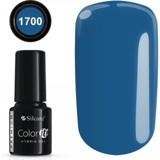 COLOR IT PREMIUM 1700