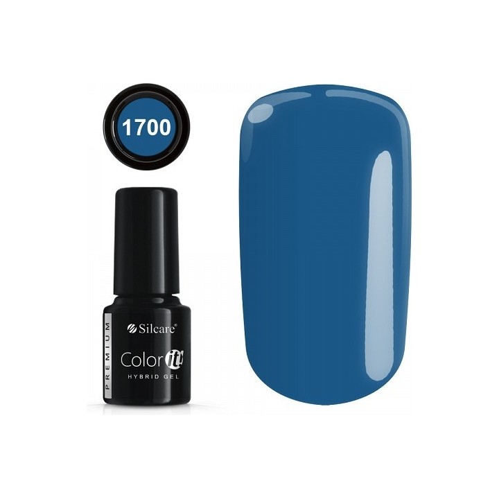 COLOR IT PREMIUM 1700