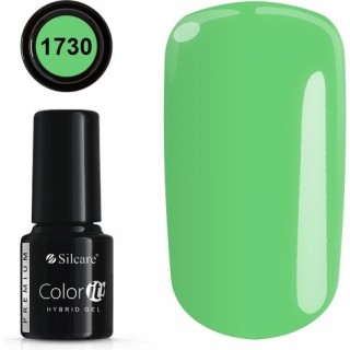 COLOR IT PREMIUM 1730