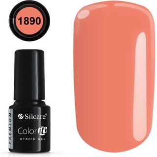 COLOR IT PREMIUM 1890