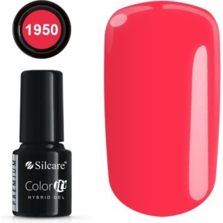 COLOR IT PREMIUM 1950