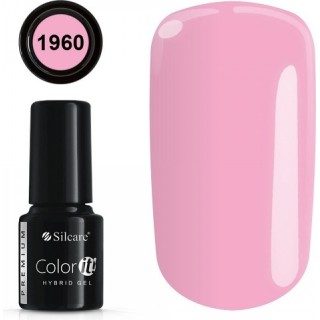 COLOR IT PREMIUM 1960