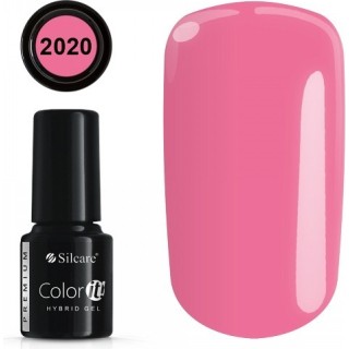 COLOR IT PREMIUM 2020