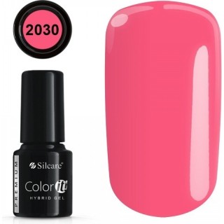 COLOR IT PREMIUM 2030