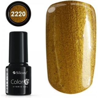 COLOR IT PREMIUM 2220