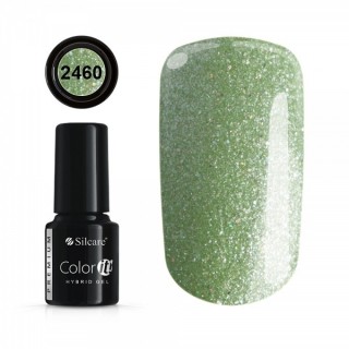 COLOR IT PREMIUM 2460