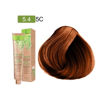 Boje JJ - FASHION - 5.4 5c