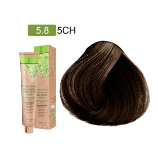 Boje JJ - FASHION - 5.8 5CH