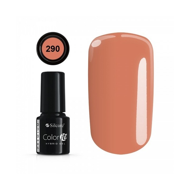 Color IT Premium 290