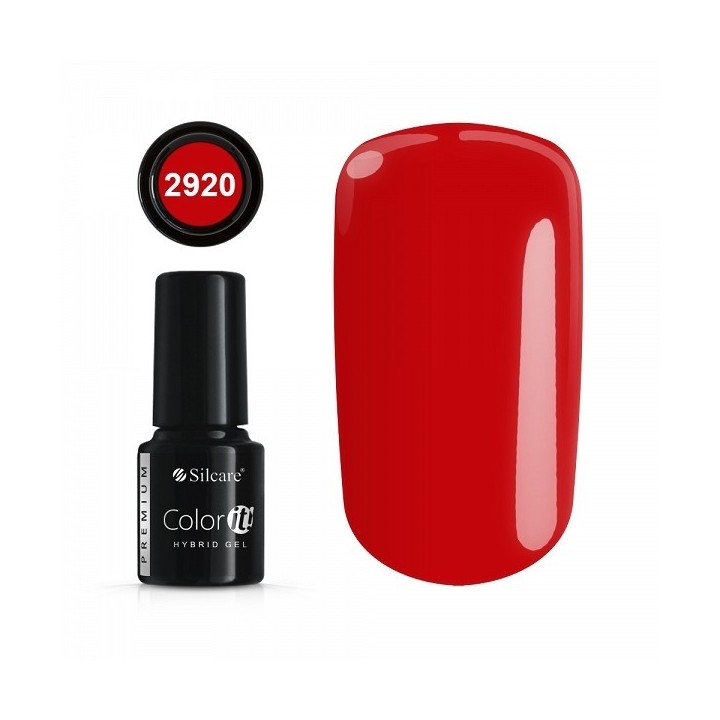 Color IT Premium 2920