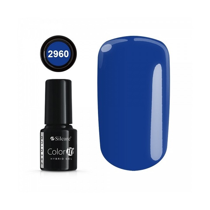 Color IT Premium 2960