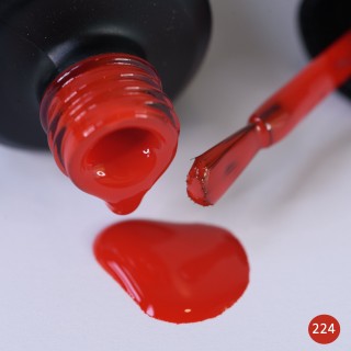 GEL POLISH MYONOFF 224