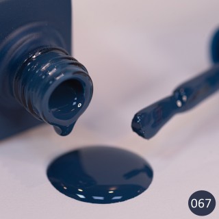 Fantasy Gel Polish 12ml - 067