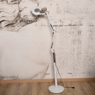 LLampe me lupe zmadhuese