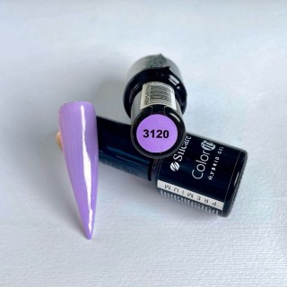 Color IT Premium 3120