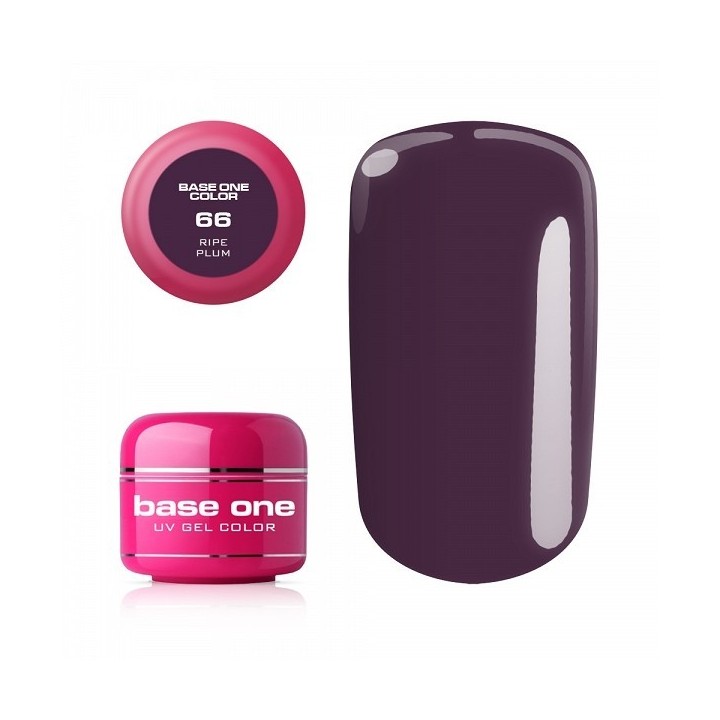Base One Color Gel 66