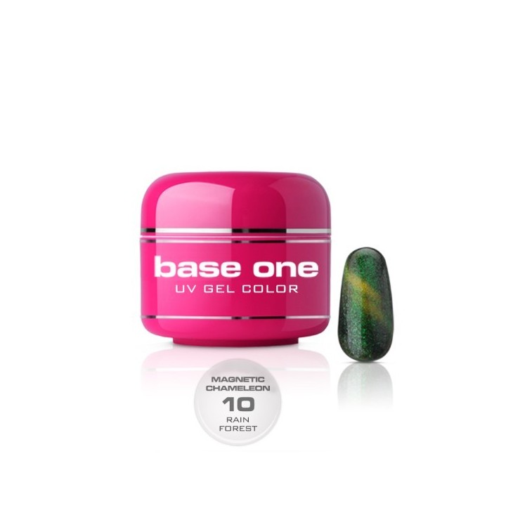 Base One Magnetic Chameleon 10