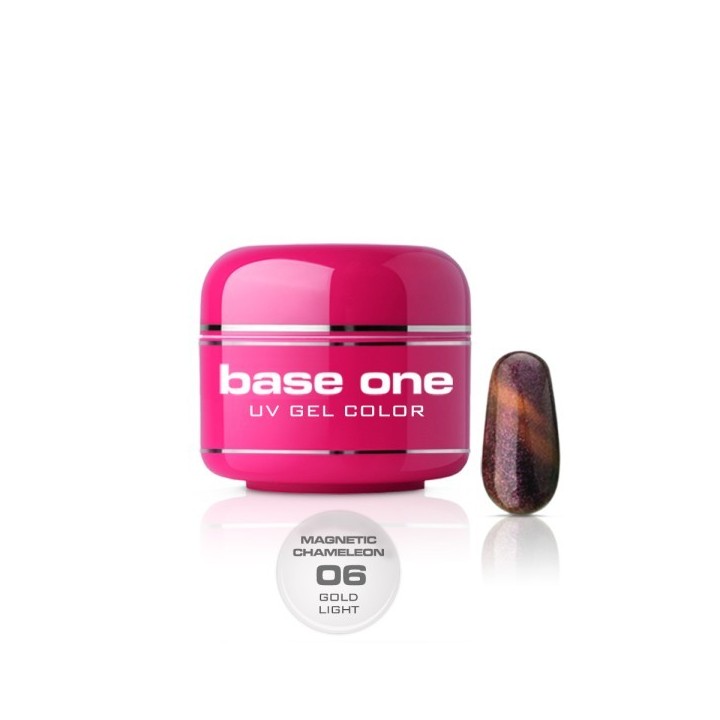 Base One Magnetic Chameleon 6