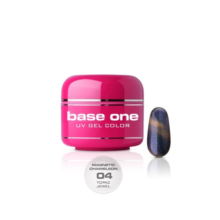 Base One Magnetic Chameleon 4