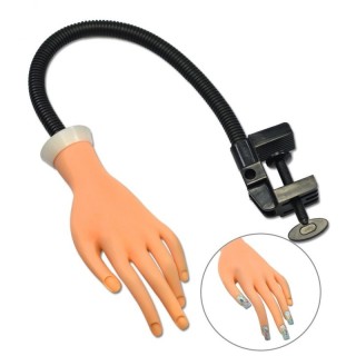 DORE FALLCO QE NUK LEVIZ