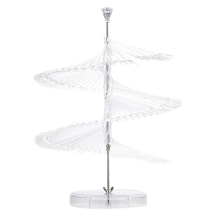 Ekspozitor Transparent Spiral