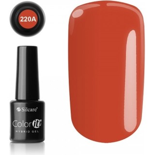 COLOR IT 220A