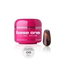 Base One Magnetic Chameleon 6