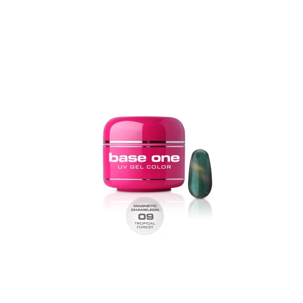 Base One Magnetic Chameleon 9