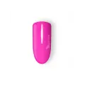 Painting Light Fucsia 5 g 6515