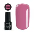 Color IT Premium 1080