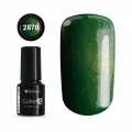 COLOR IT PREMIUM CAT EYE 2870