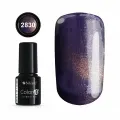 COLOR IT PREMIUM CAT EYE 2830