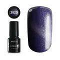 COLOR IT PREMIUM CAT EYE 2820
