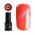 Color IT Premium Cat Eye 1460