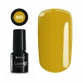 Color IT Premium 800