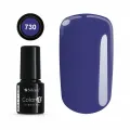 Color IT Premium 730