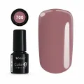 Color IT Premium 700