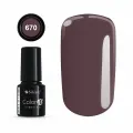 Color IT Premium 670