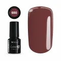 Color IT Premium 660