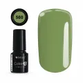 Color IT Premium 560