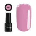 Color IT Premium 320