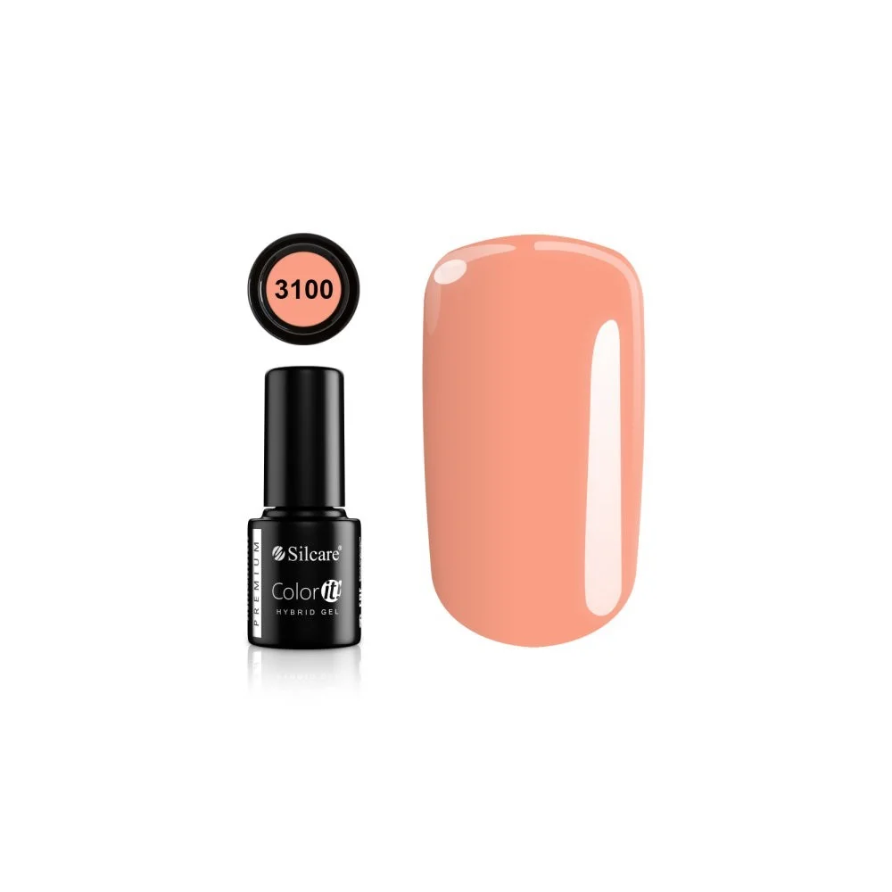 Color IT Premium 3100