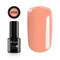 Color IT Premium 3100