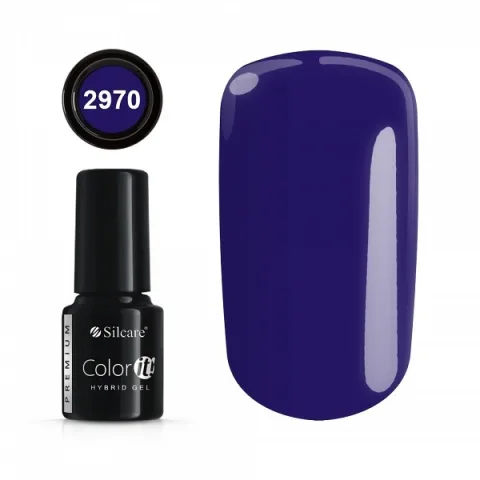 Color IT Premium 2970