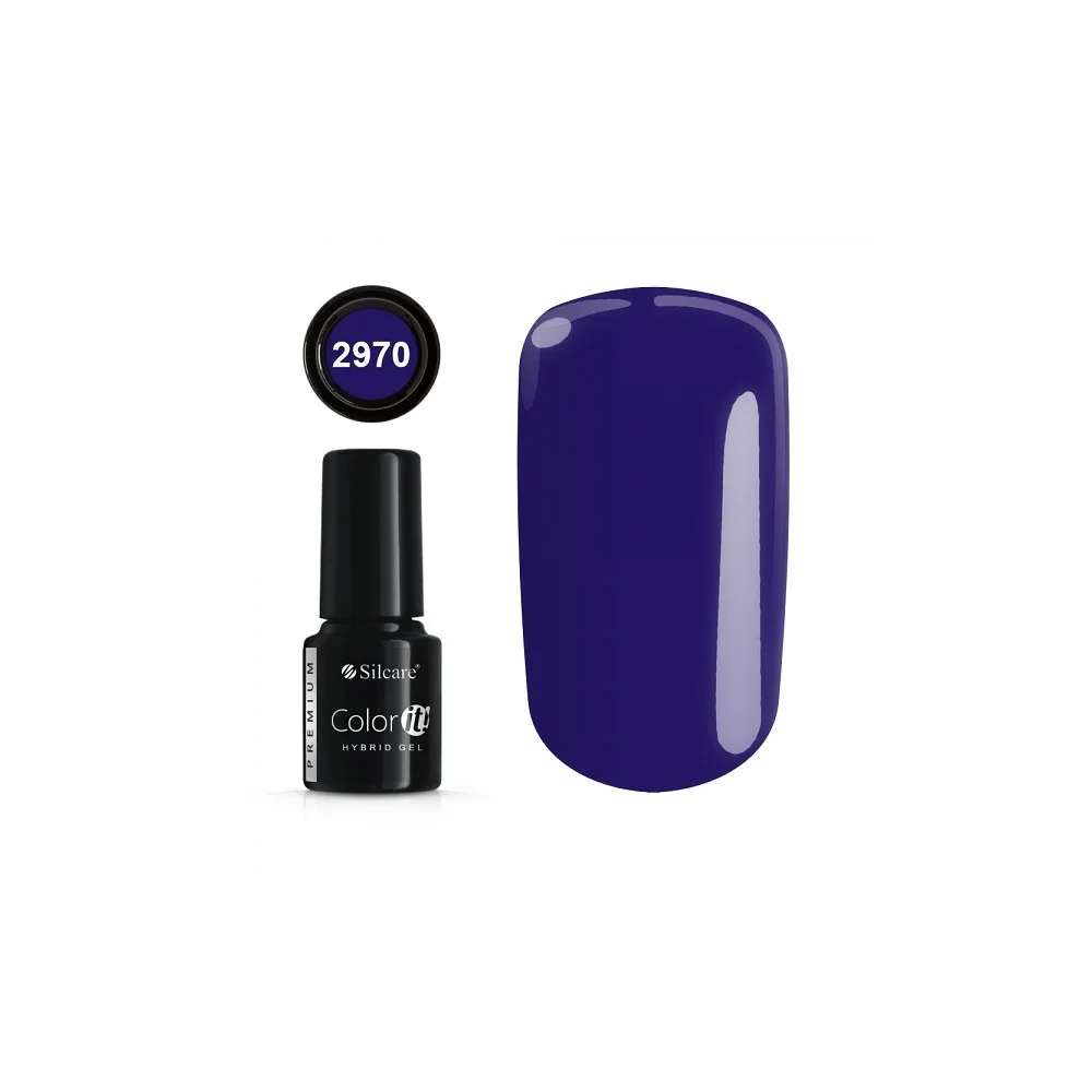 Color IT Premium 2970
