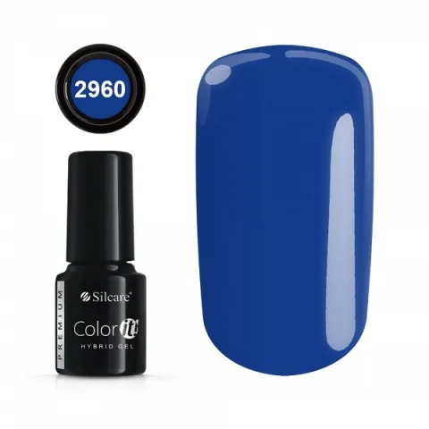 Color IT Premium 2960