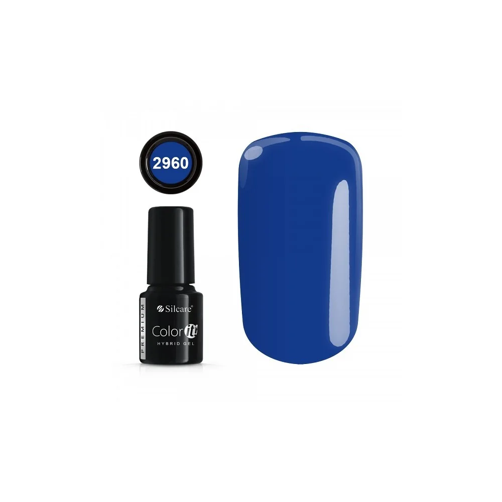 Color IT Premium 2960